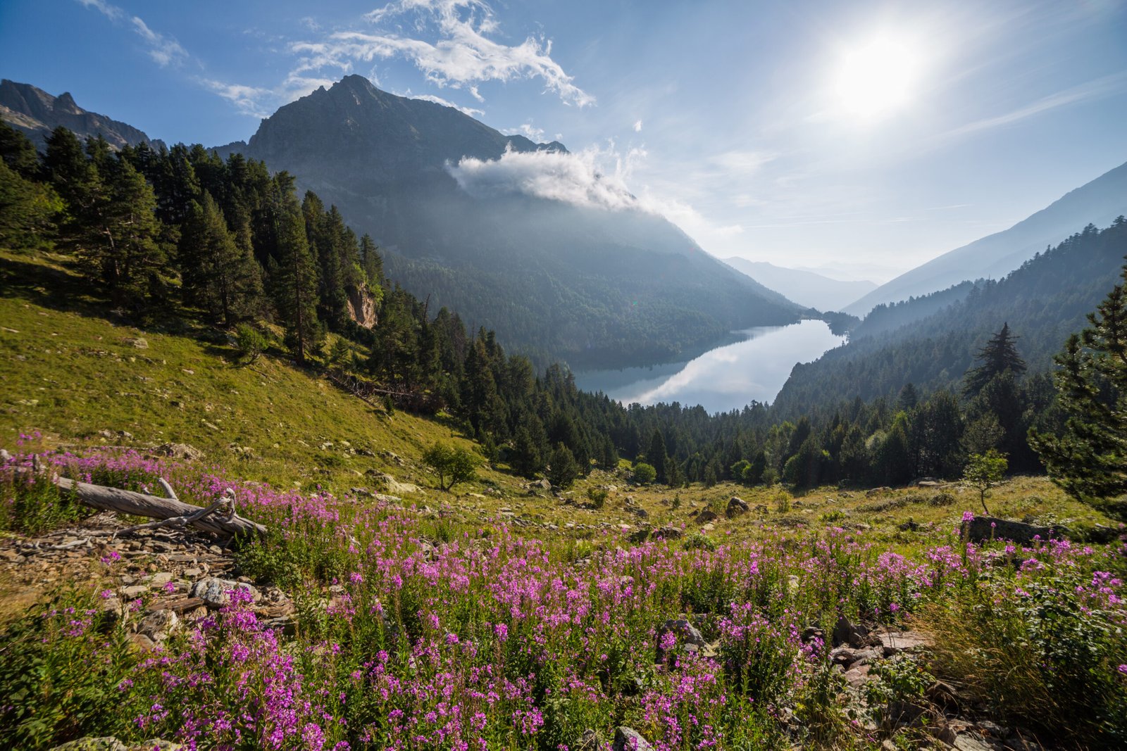 Aigüestortes i Estany de Sant Maurici National Park, Catalonia