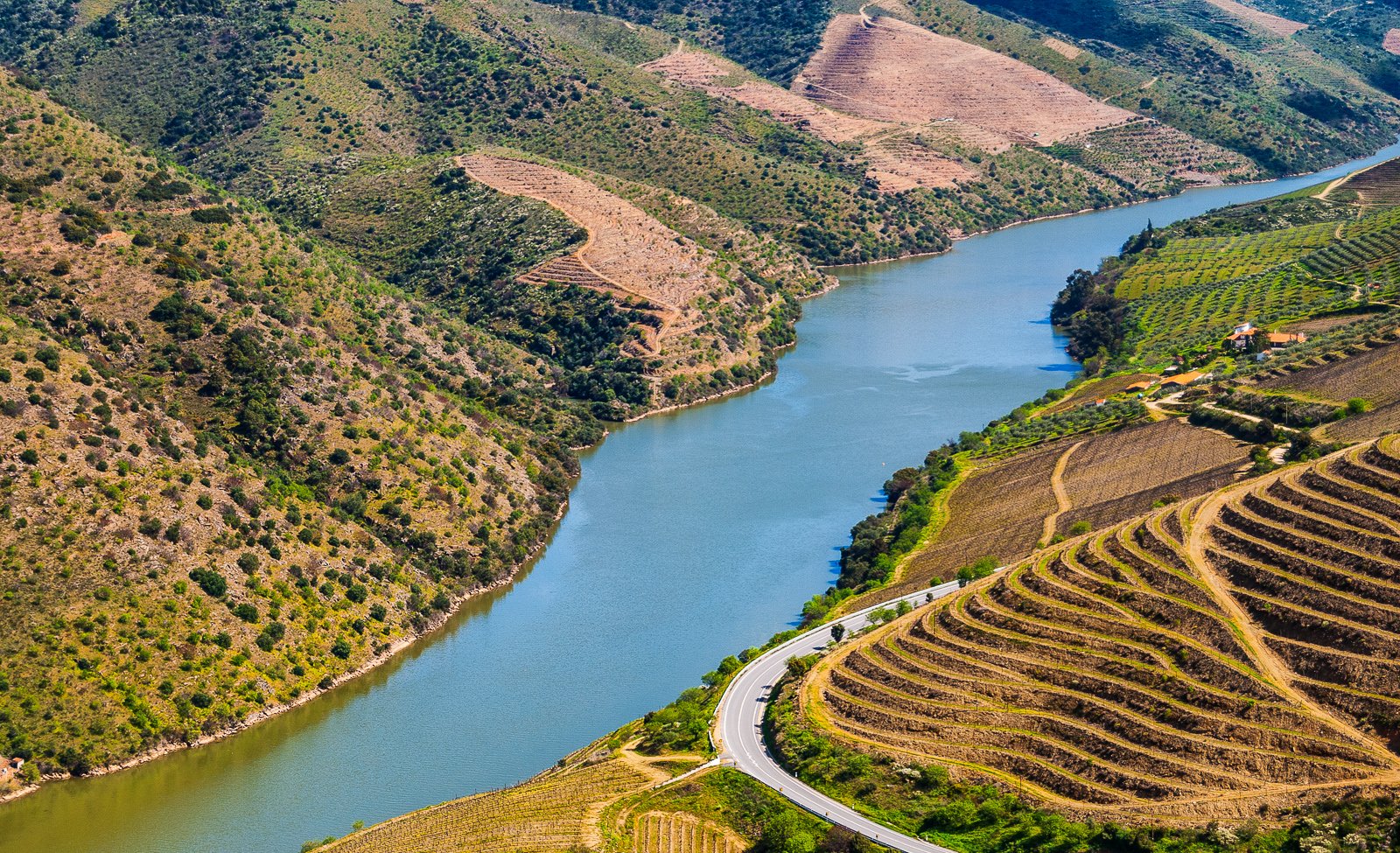 Alto Douro Wine Region, Norte