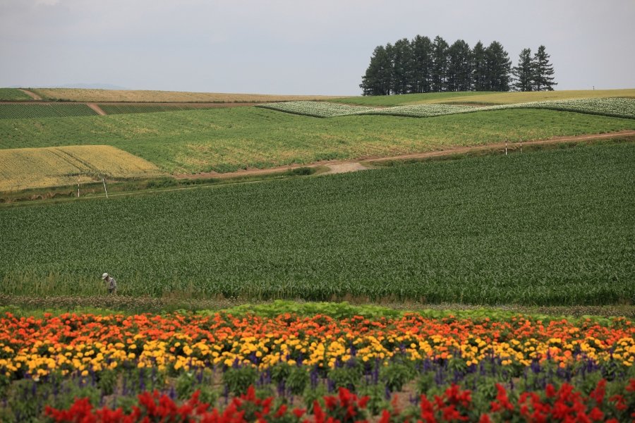Biei, Hokkaido