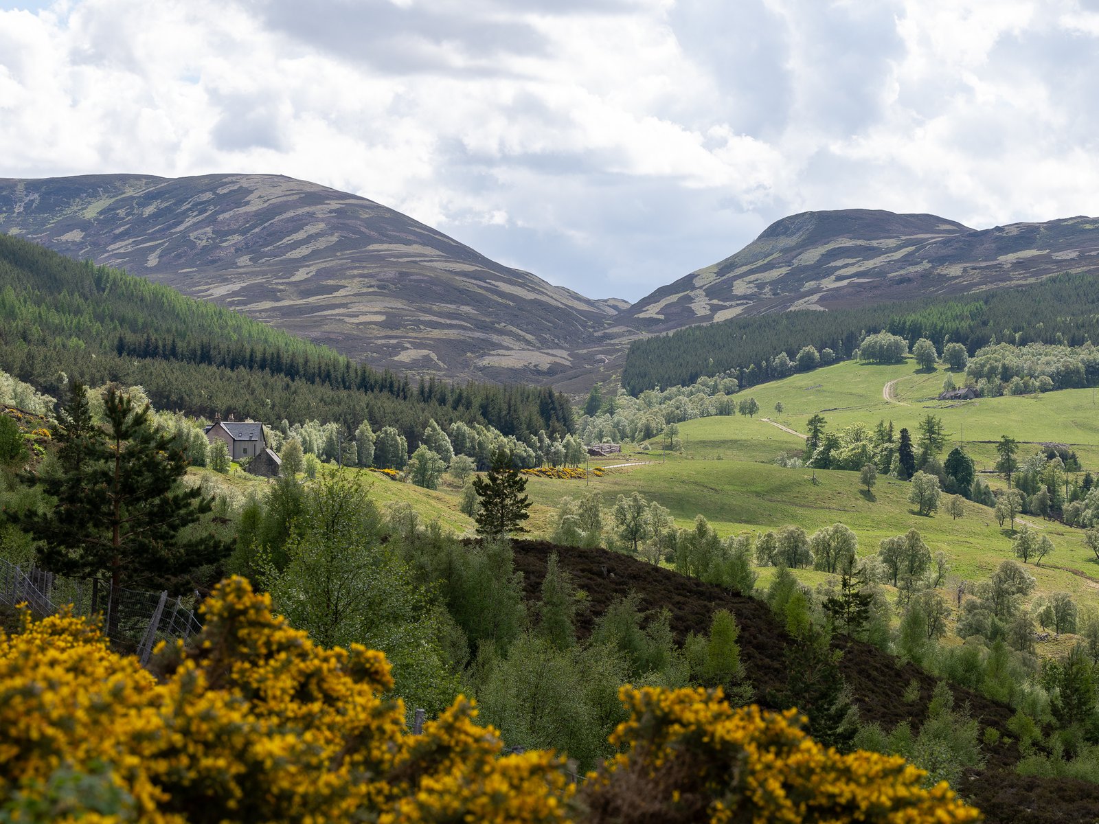 Cairngorms National Park, Highlands & Islands