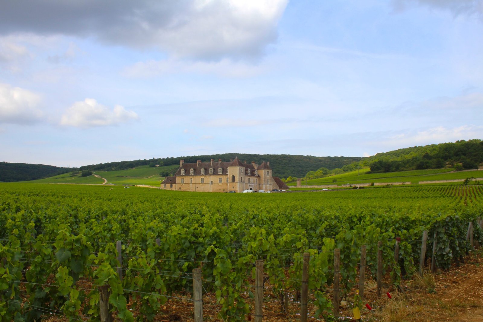 Clos de Vougeot, Bourgogne-Franche-Comté