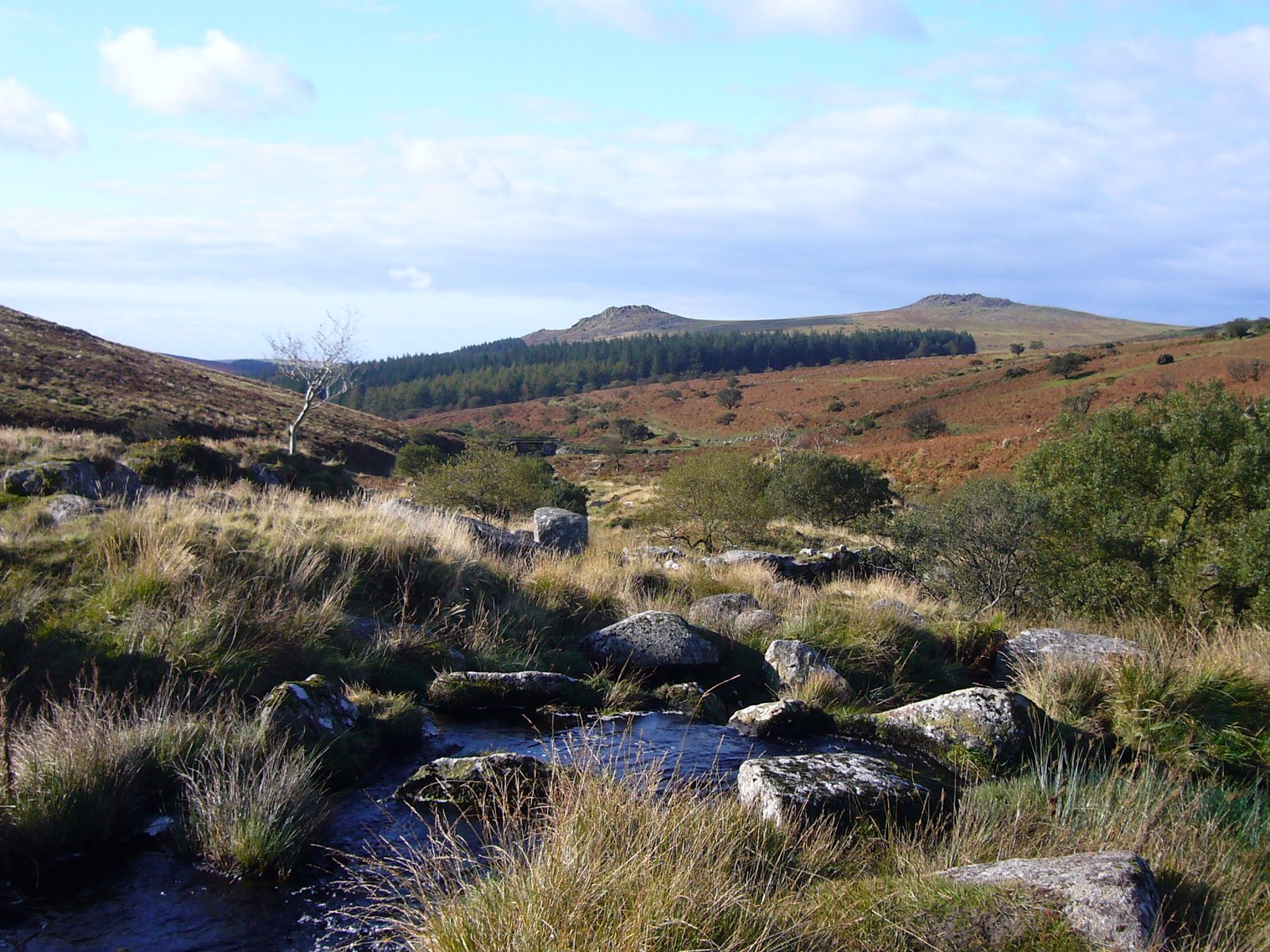 Dartmoor, South West England