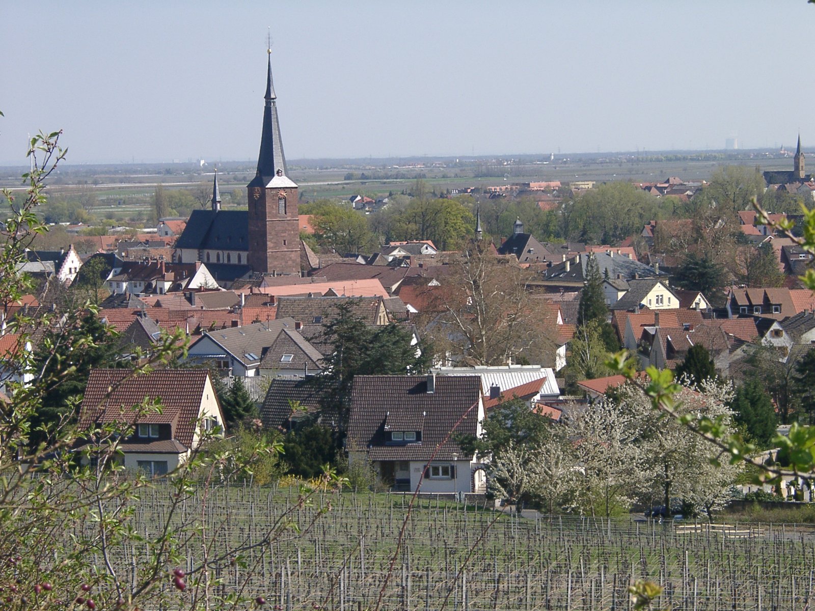 Deidesheim, Rhineland-Palatinate