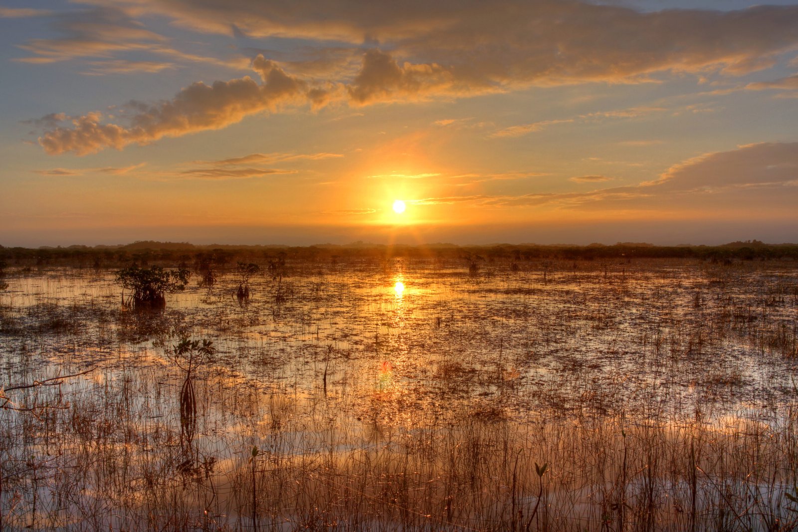 Everglades National Park, Gulf South