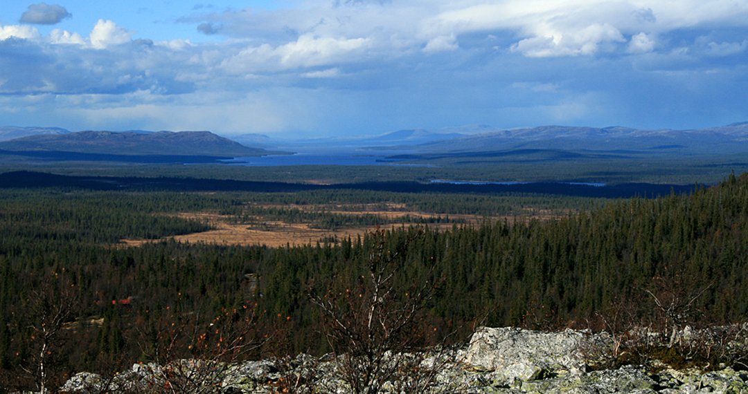 Femundsmarka National Park, Innlandet
