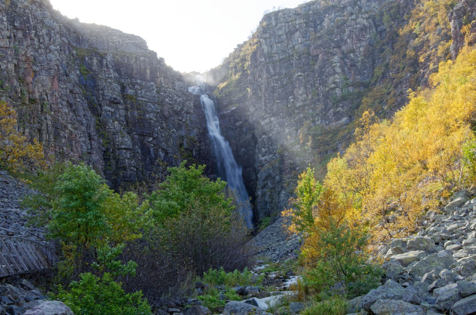 Fulufjället National Park, Dalarna