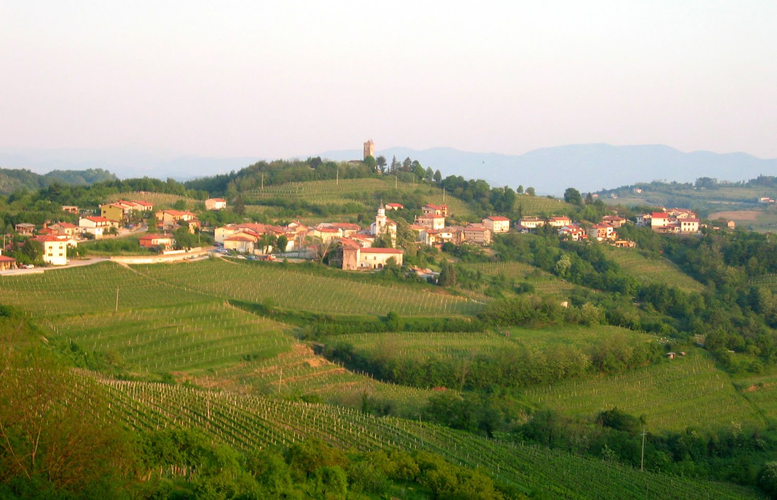 Goriška Brda, Slovene Littoral