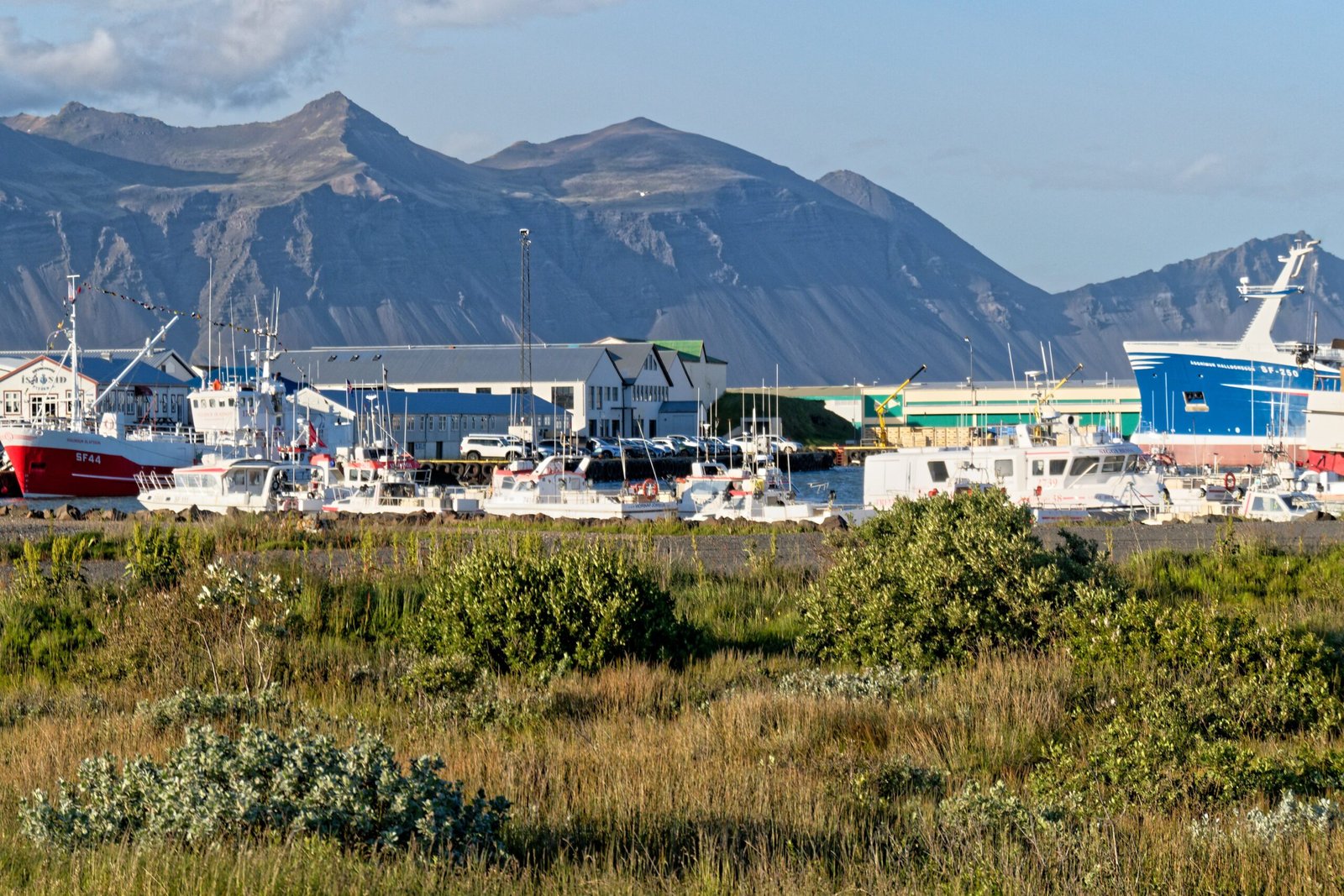 Höfn, Eastern Region