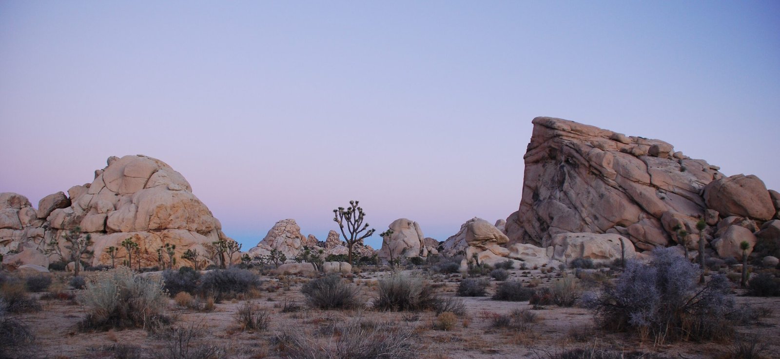 Joshua Tree National Park, California