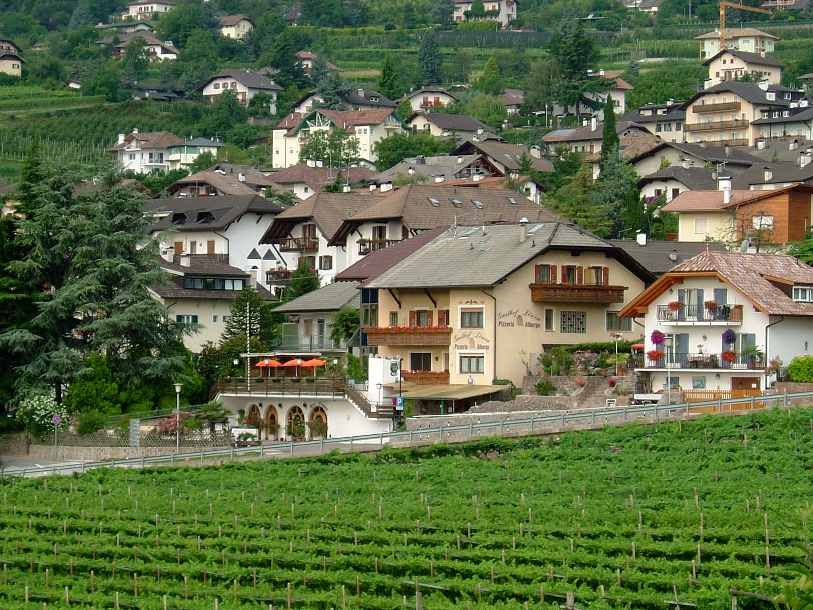 Kaltern an der Weinstraße, Trentino-South Tyrol