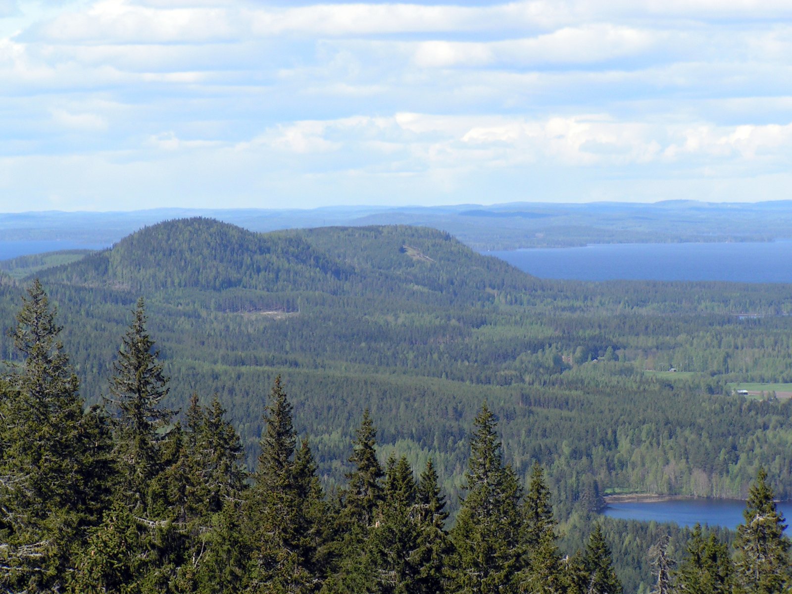 Koli National Park, North Karelia