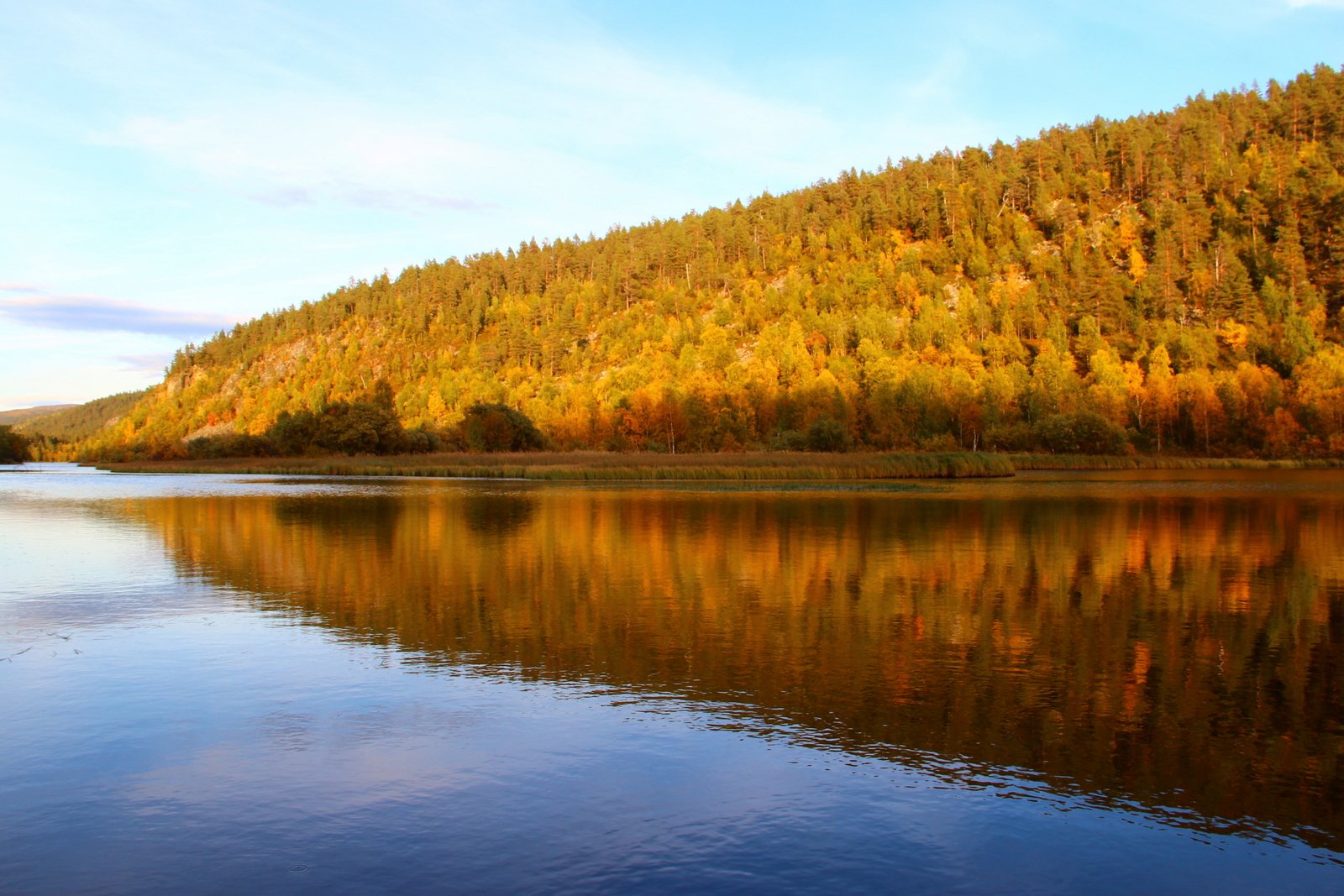 Lemmenjoki National Park, Lapland