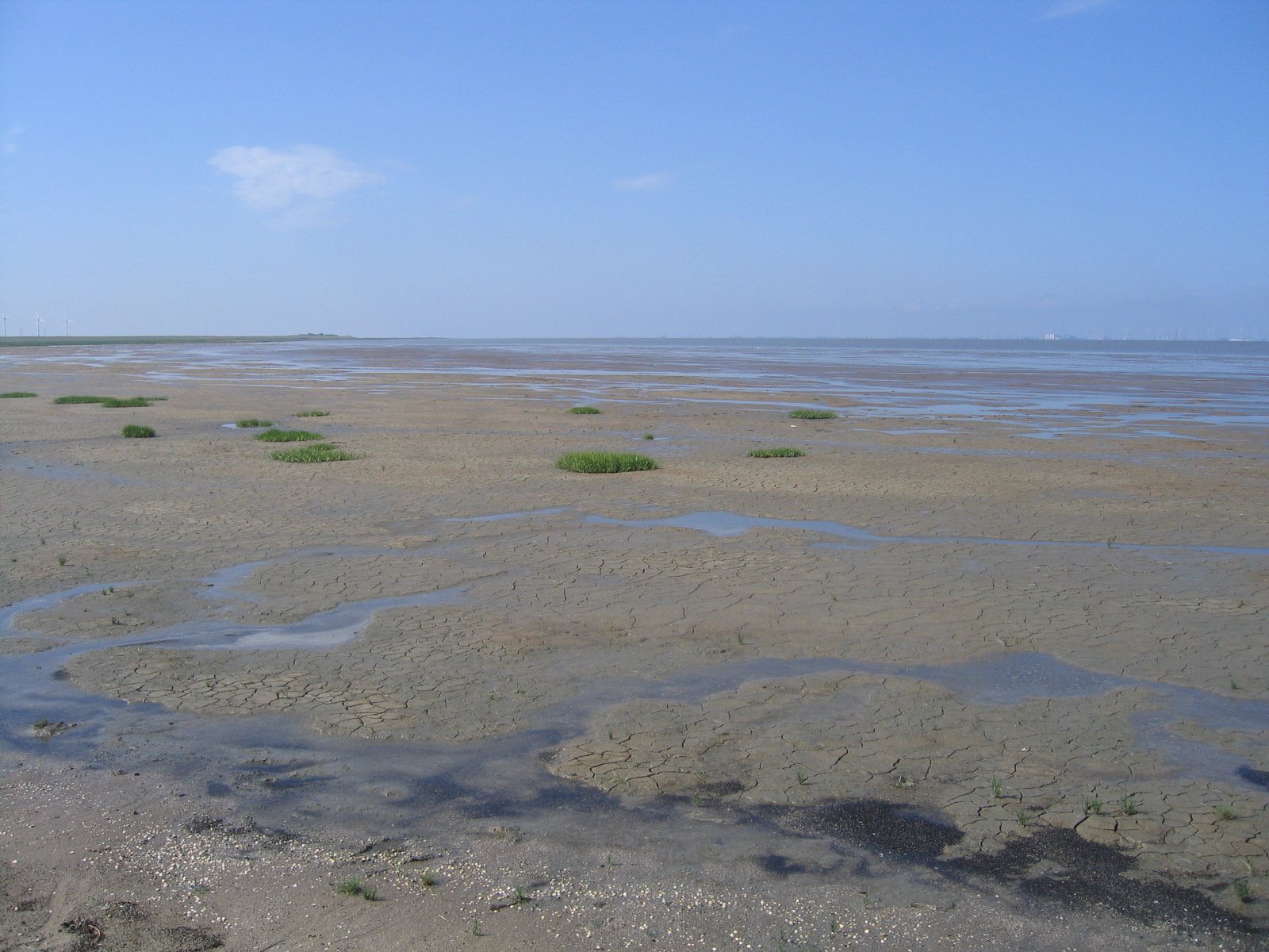 Lower Saxon Wadden Sea National Park, Lower Saxony