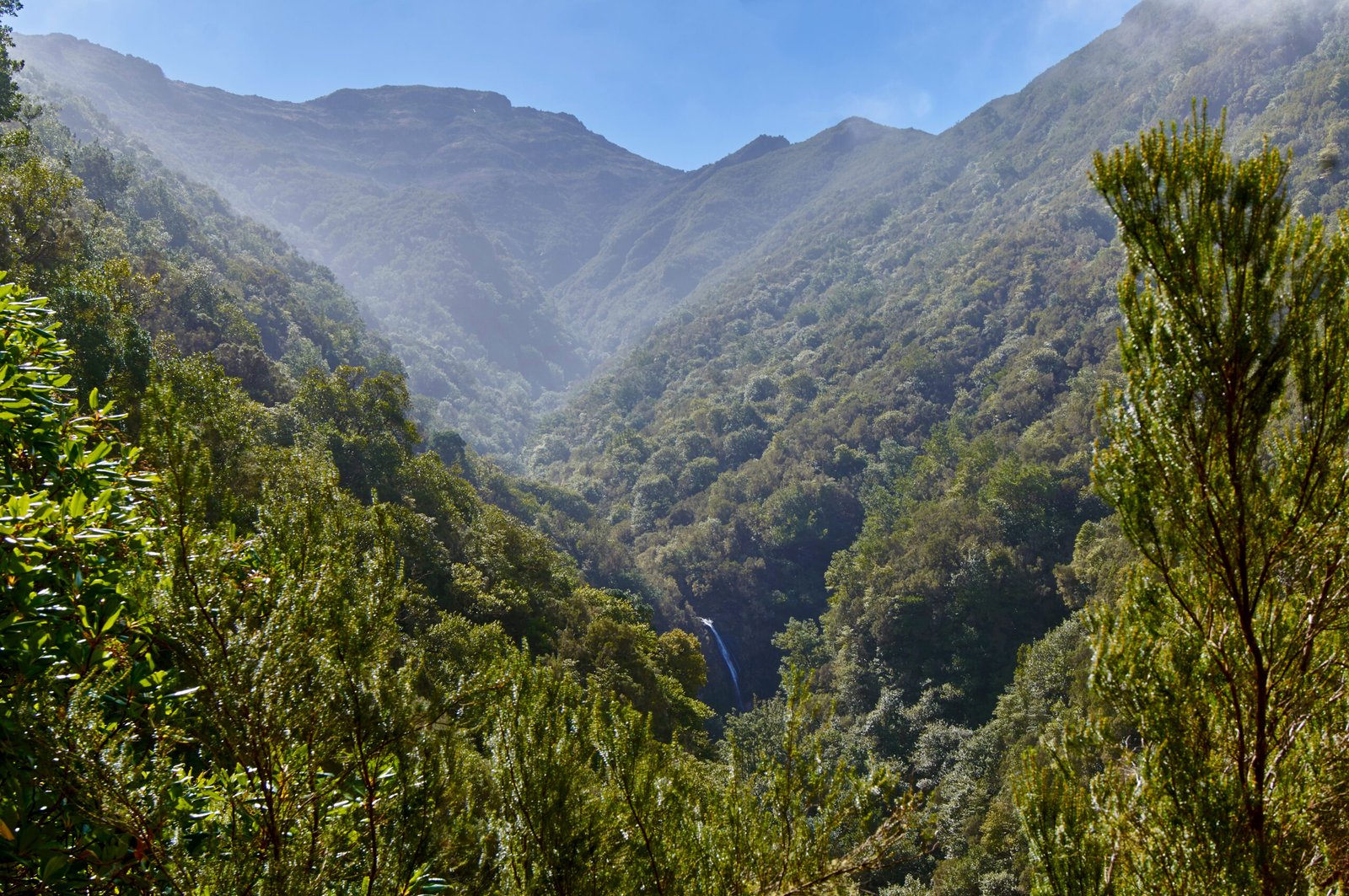 Madeira Natural Park, Madeira