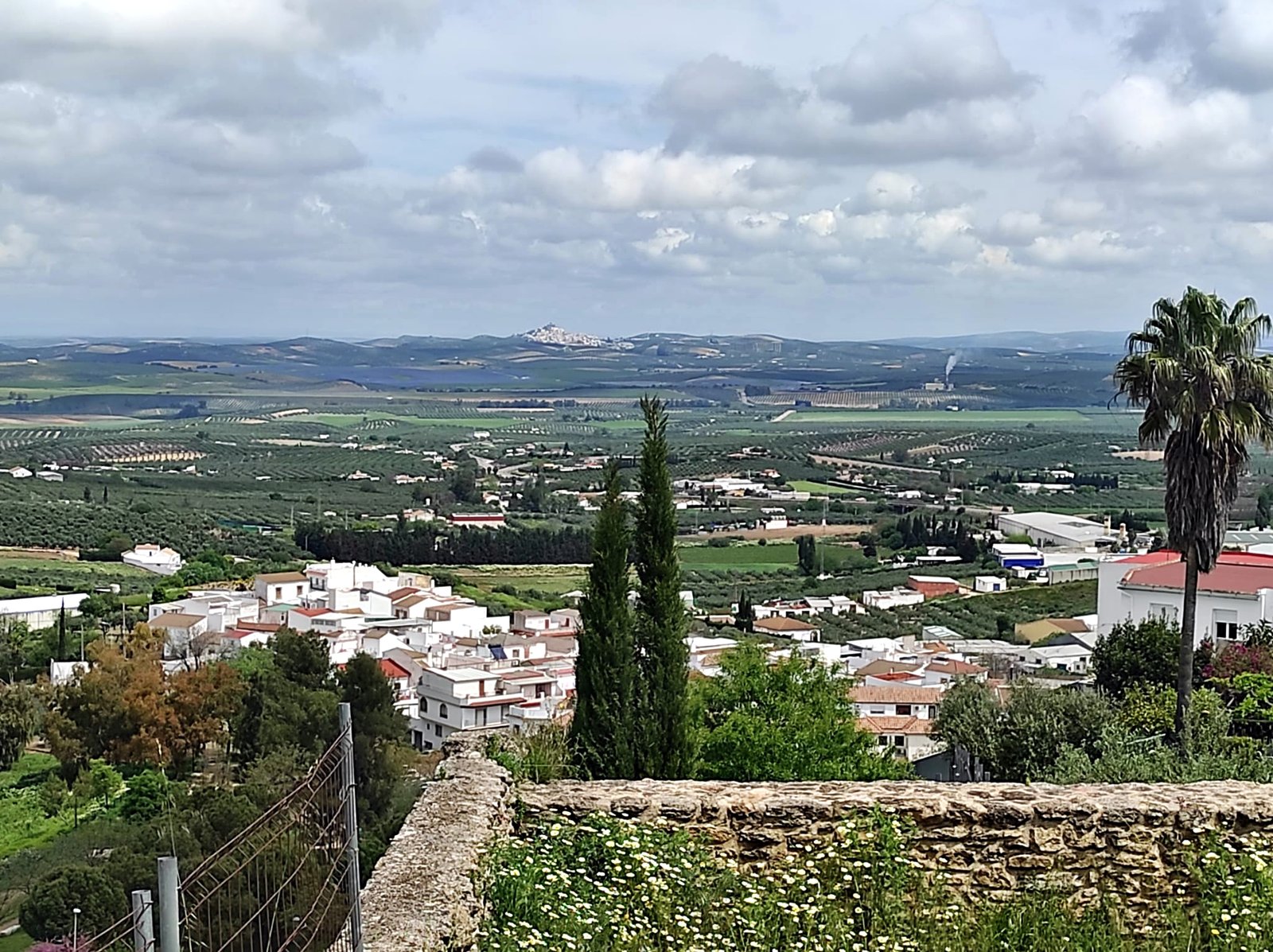 Montilla, Andalusia