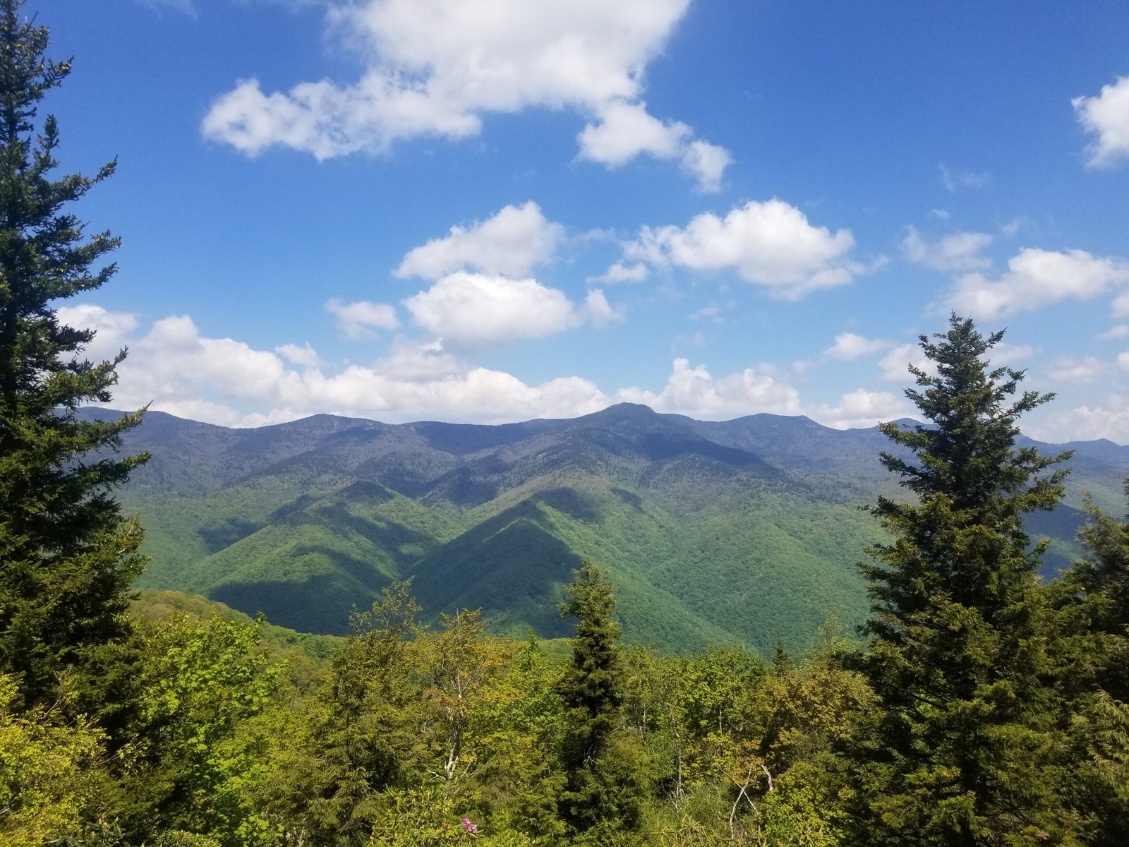 Mount Mitchell, Southeast