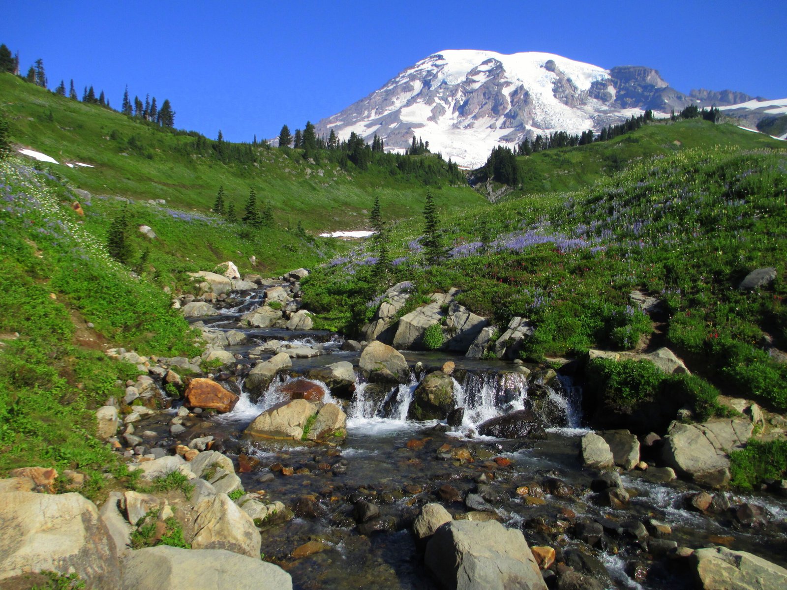 Mount Rainier National Park, Pacific Northwest