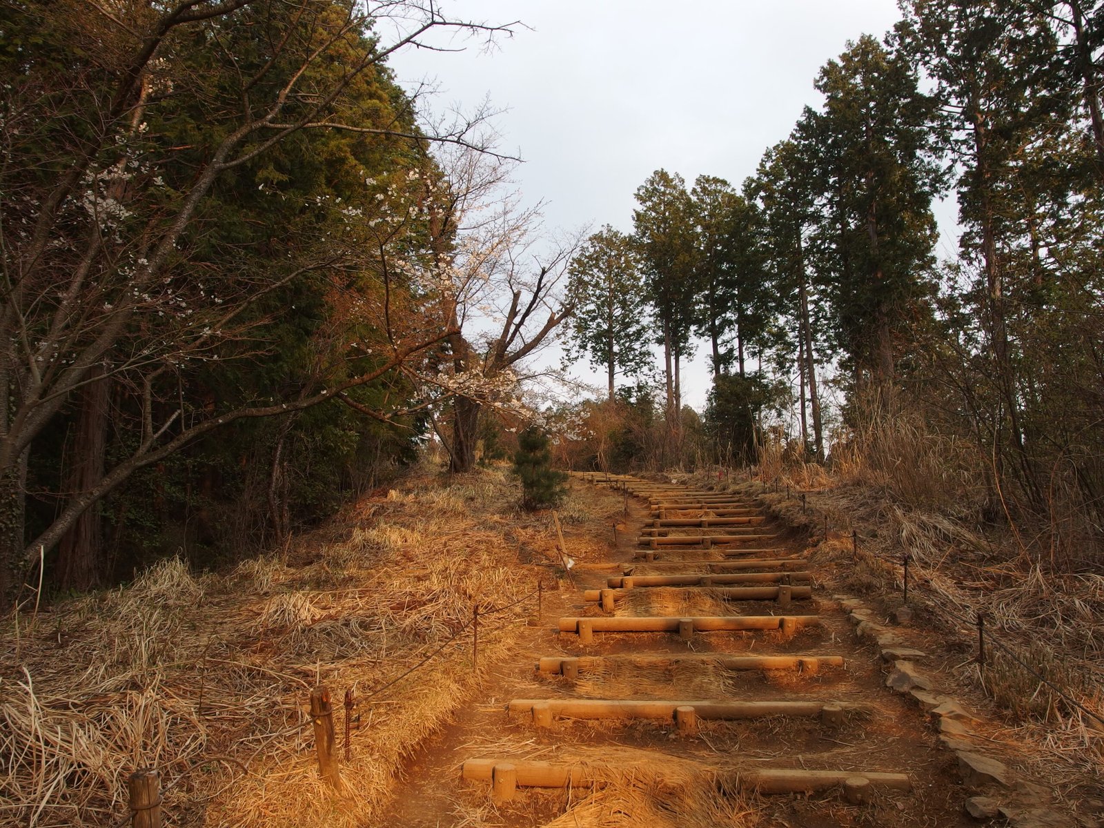 Mount Takao, Kanto
