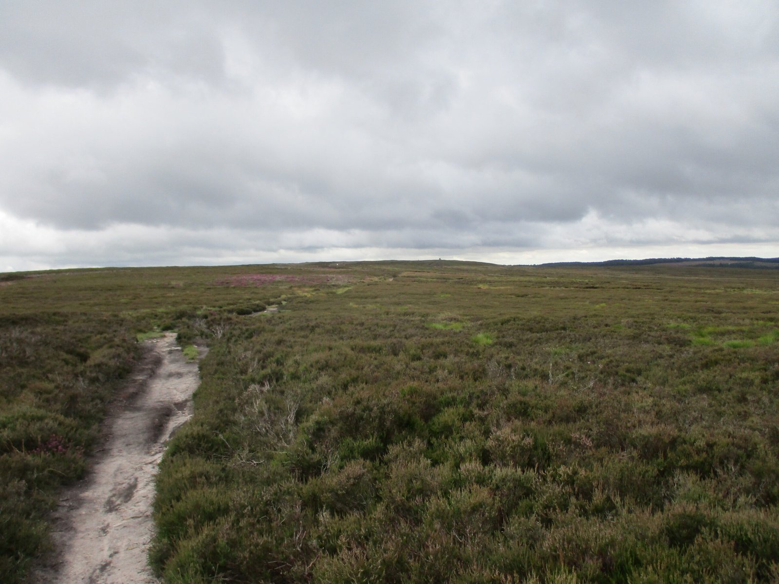 North York Moors, Yorkshire