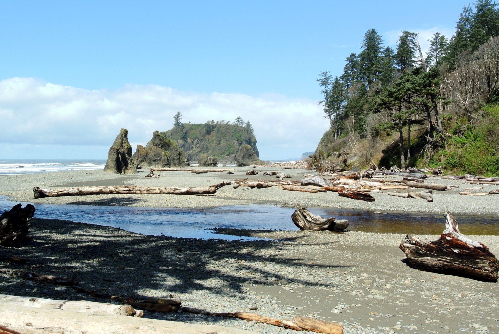 Olympic National Park, Pacific Northwest