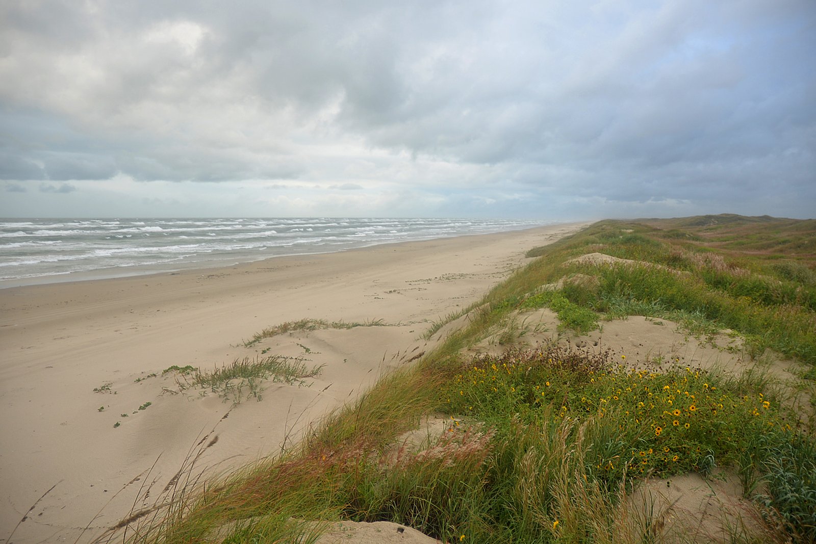 Padre Island National Seashore, Texas