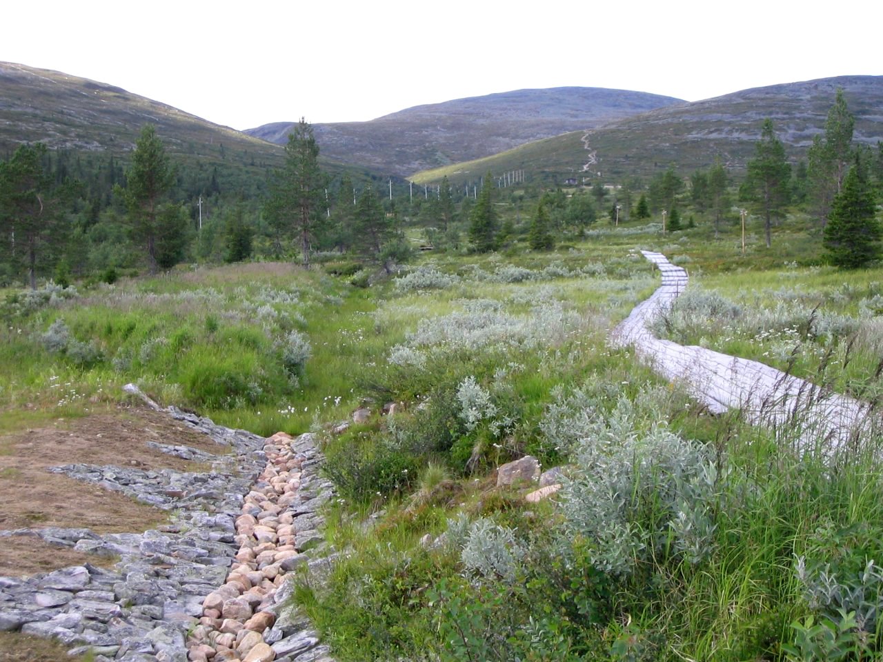 Pallas-Yllästunturi National Park, Lapland
