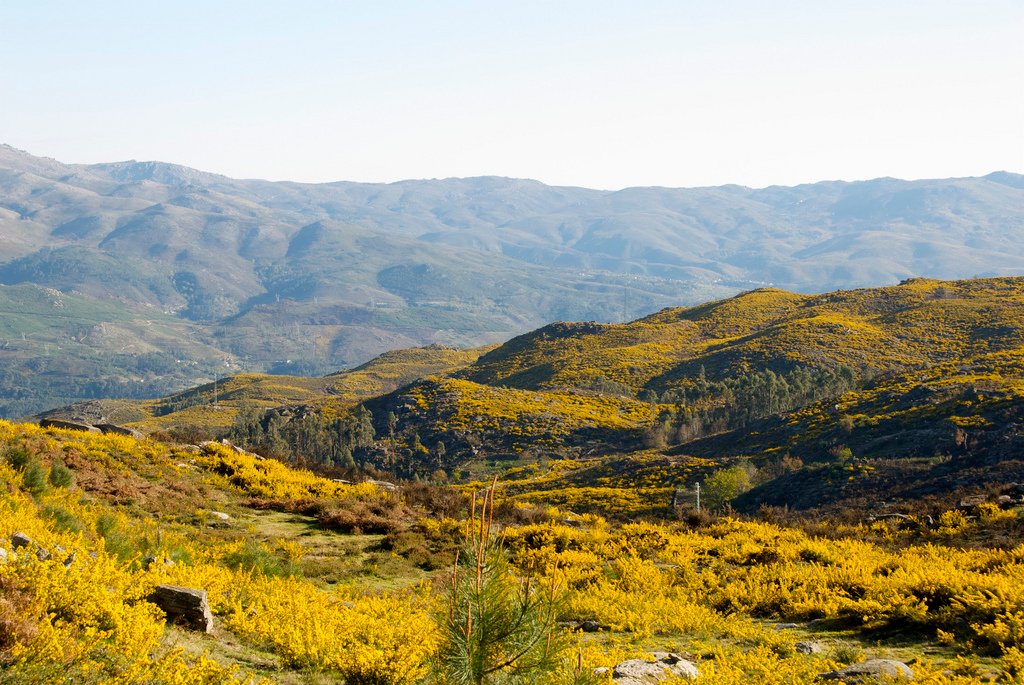 Peneda-Gerês National Park, Norte