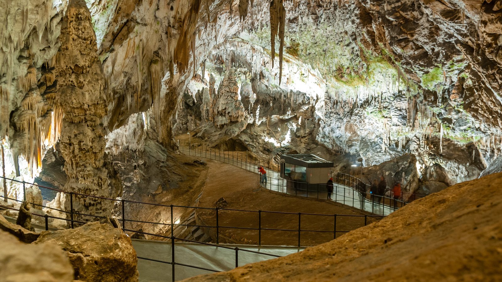 Postojna Cave, Inner Carniola & Karst