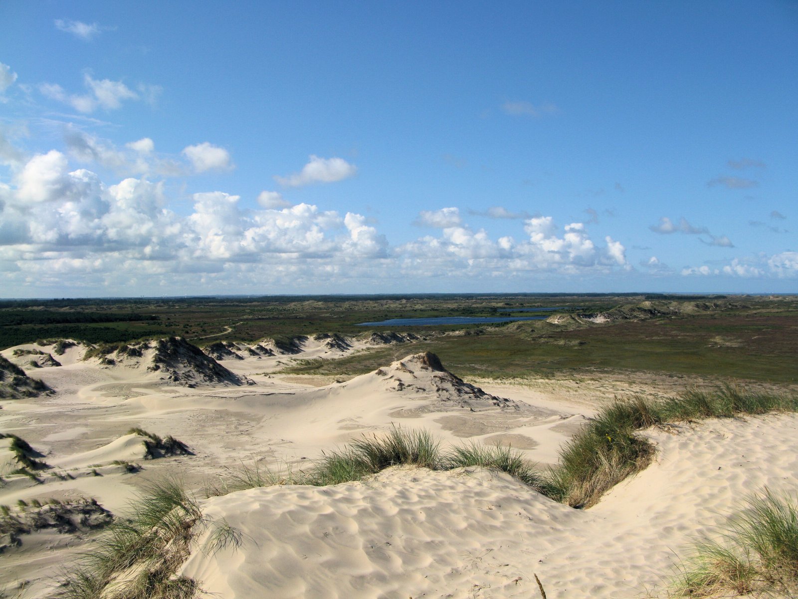 Råbjerg Mile, Nordjylland
