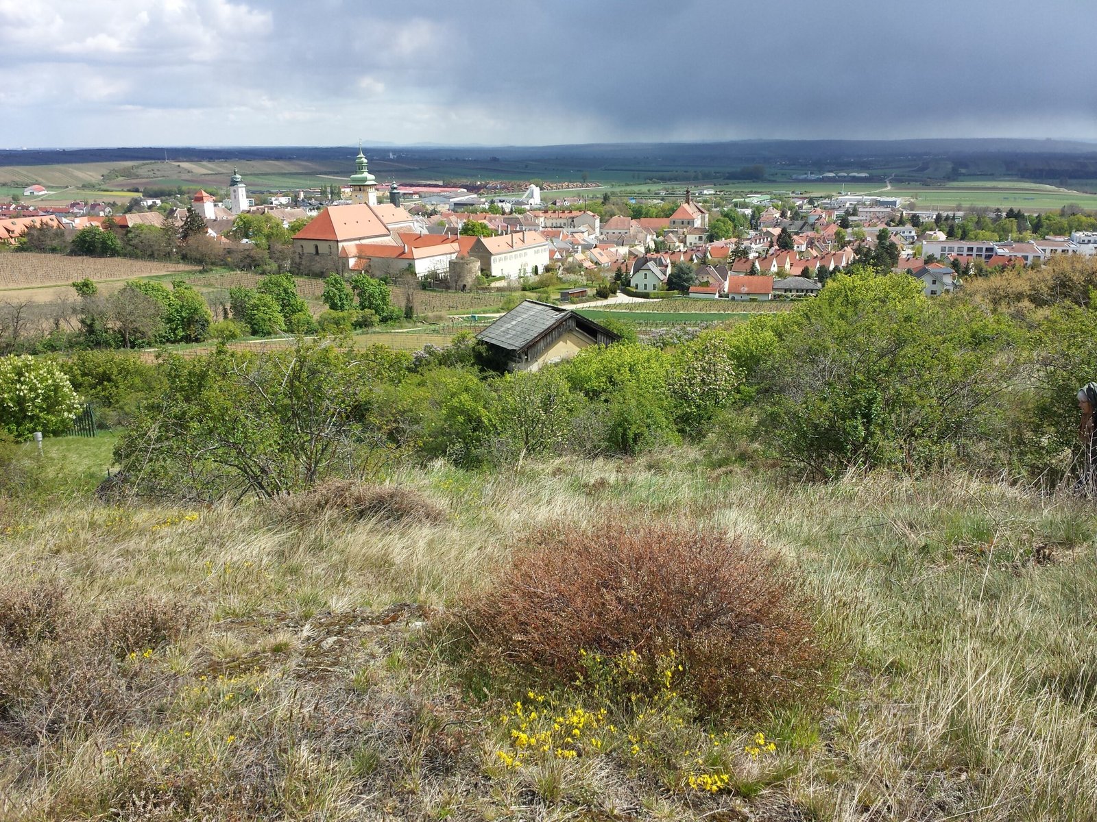 Retz, Lower Austria