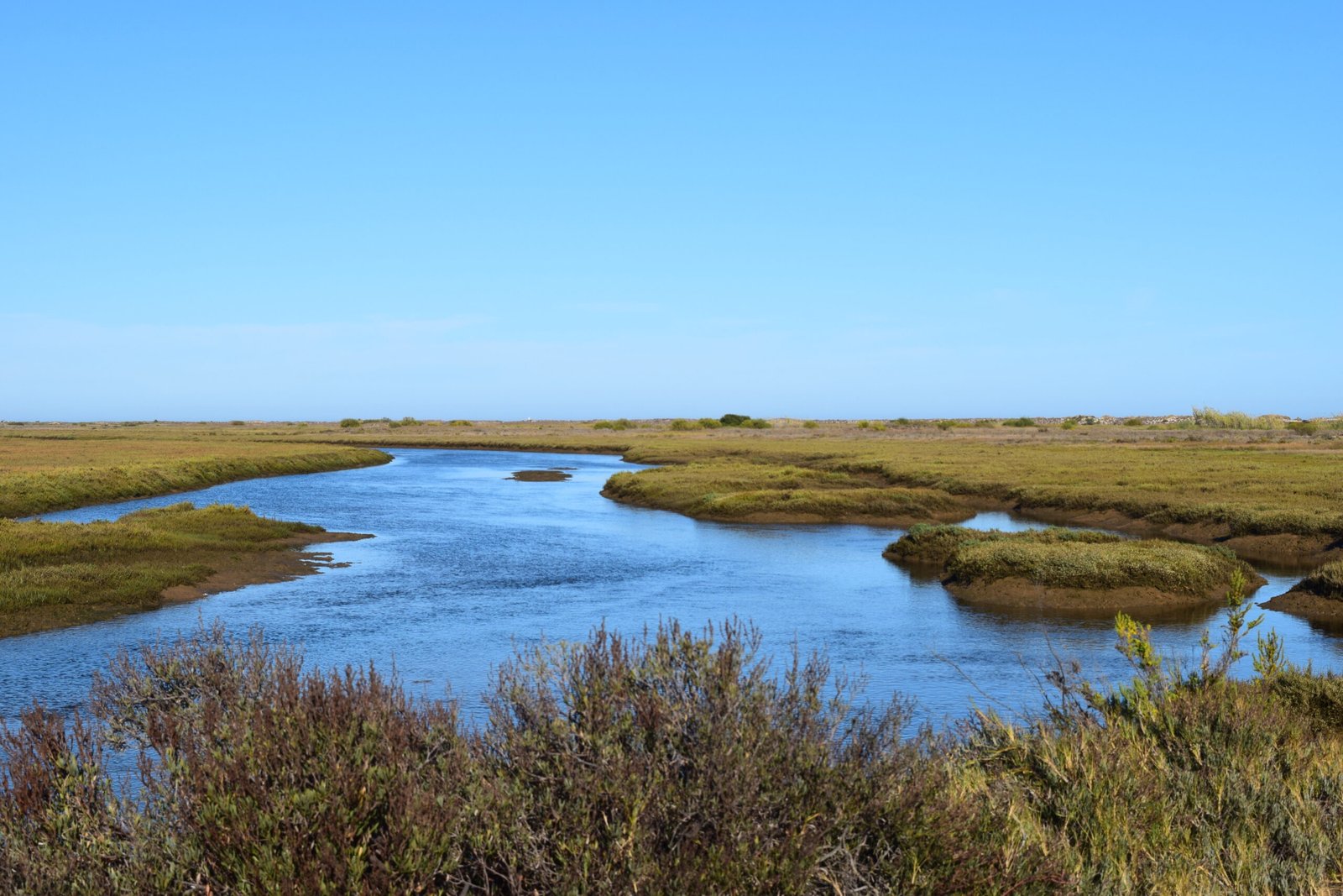 Ria Formosa, Algarve