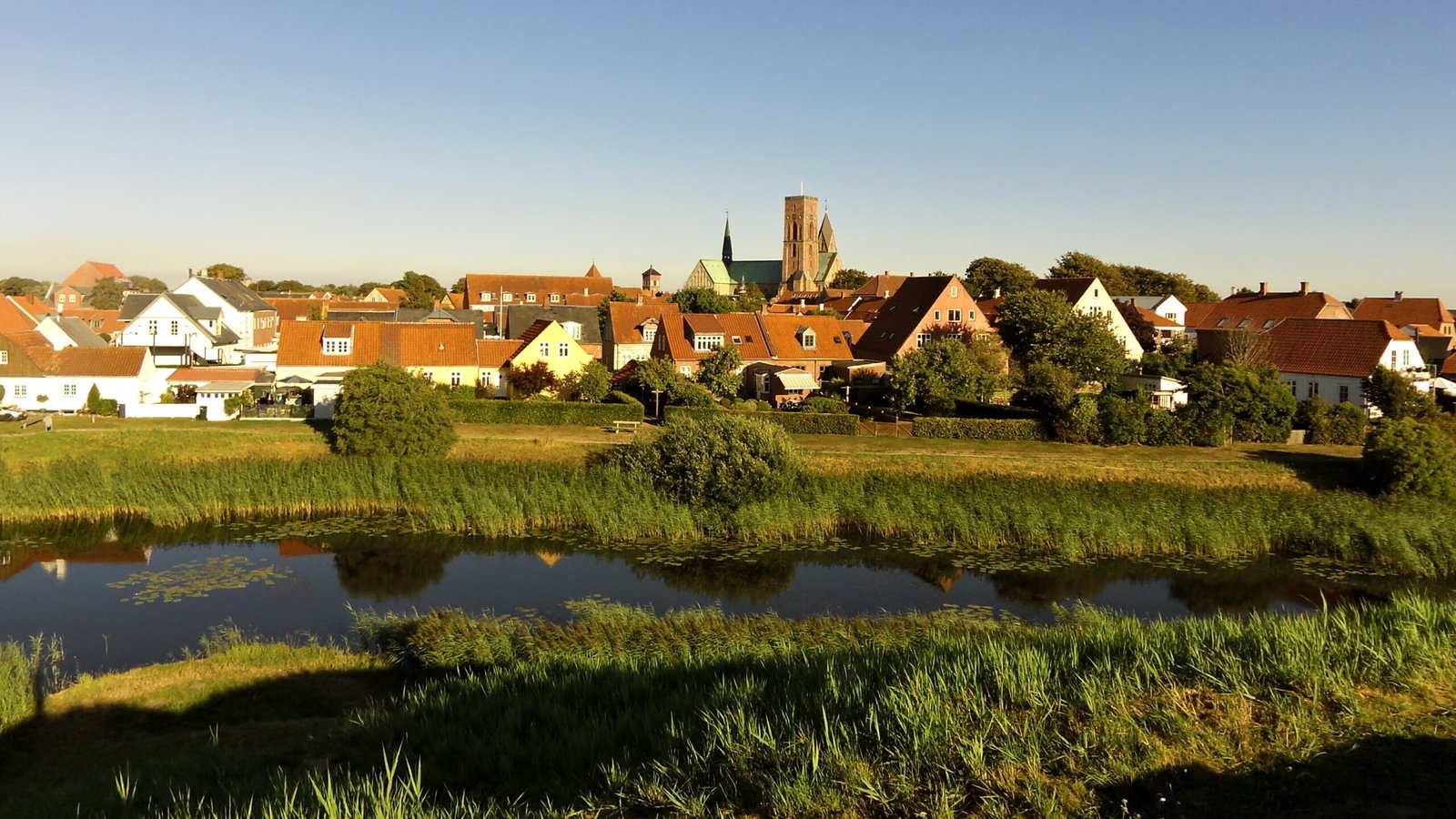 Ribe, Syddanmark