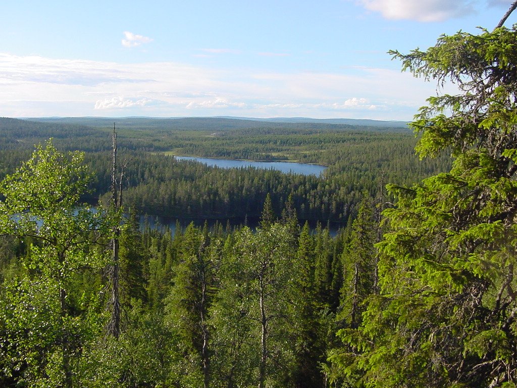 Riisitunturi National Park, Lapland