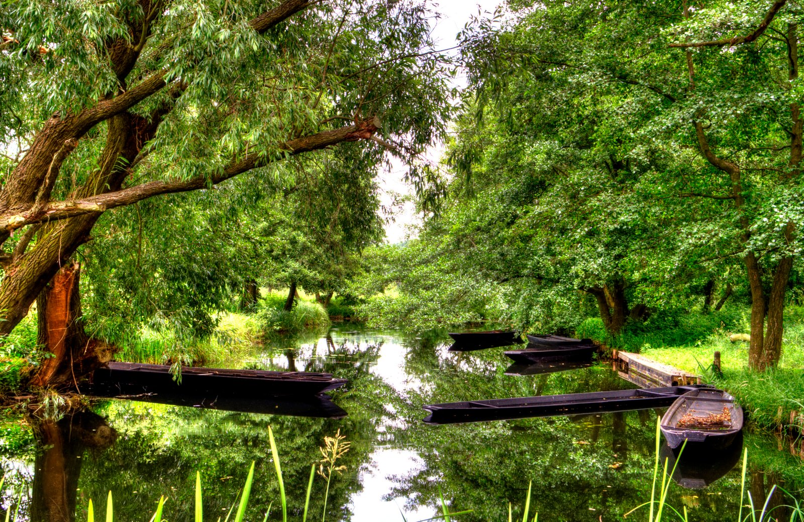 Spreewald, Brandenburg