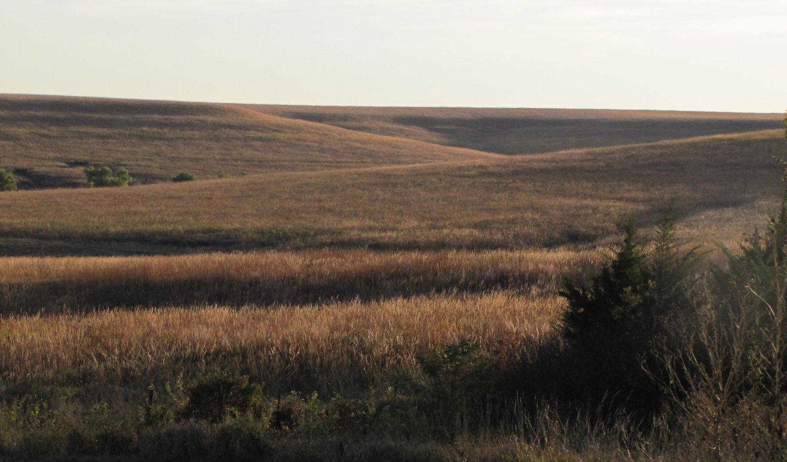 Tallgrass Prairie National Preserve, Great Plains
