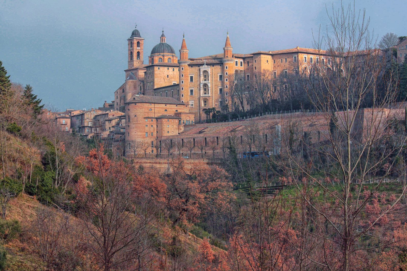 Urbino, Marche