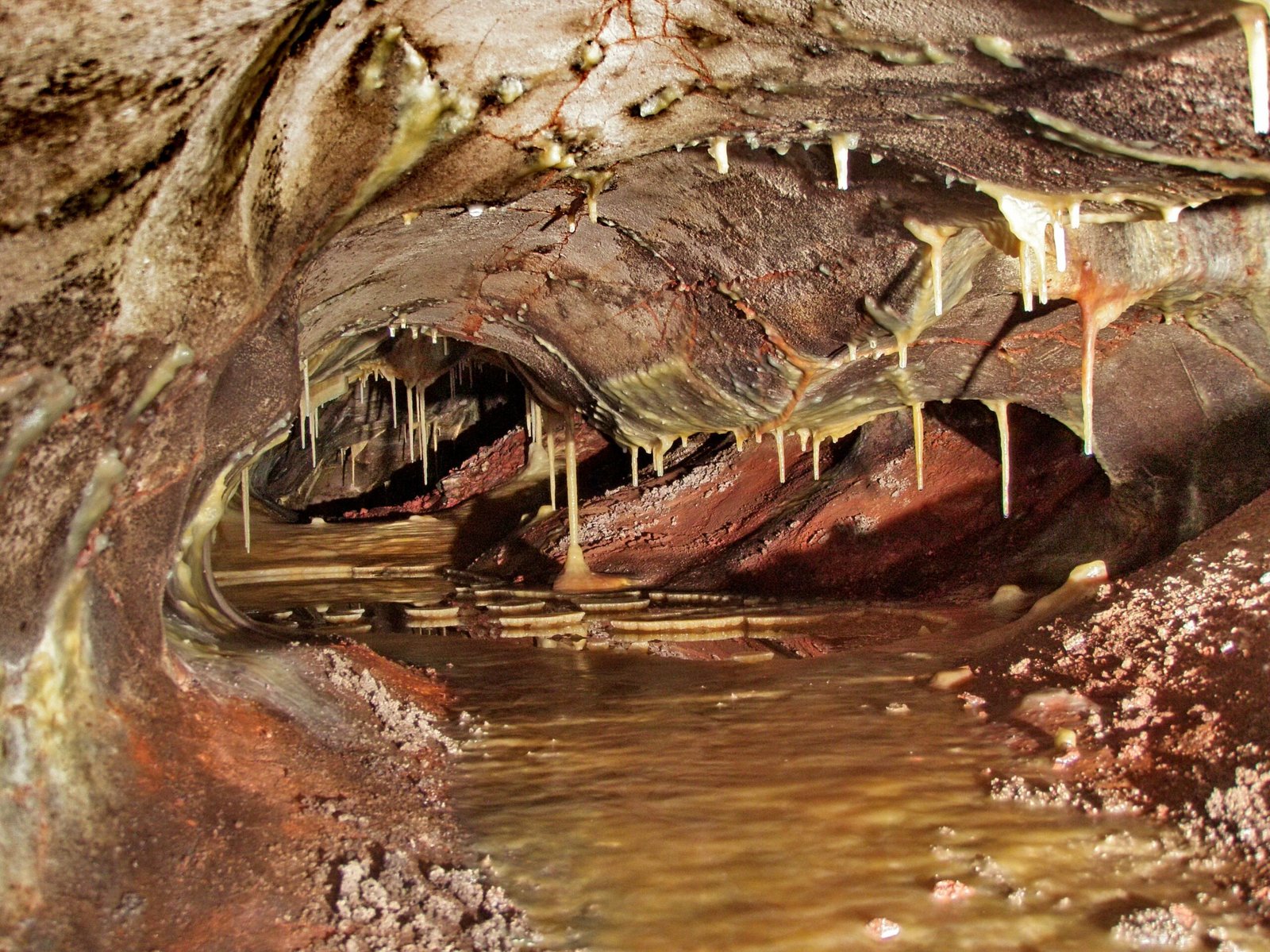 Wind Cave National Park, Great Plains